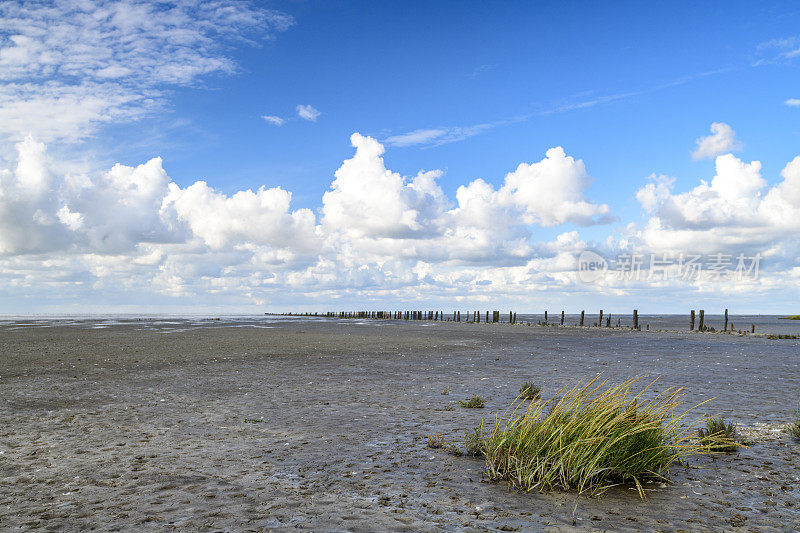 Wad或wadden空景观在瓦登海自然保护区'de wadden '与潮汐沙滩在荷兰北部